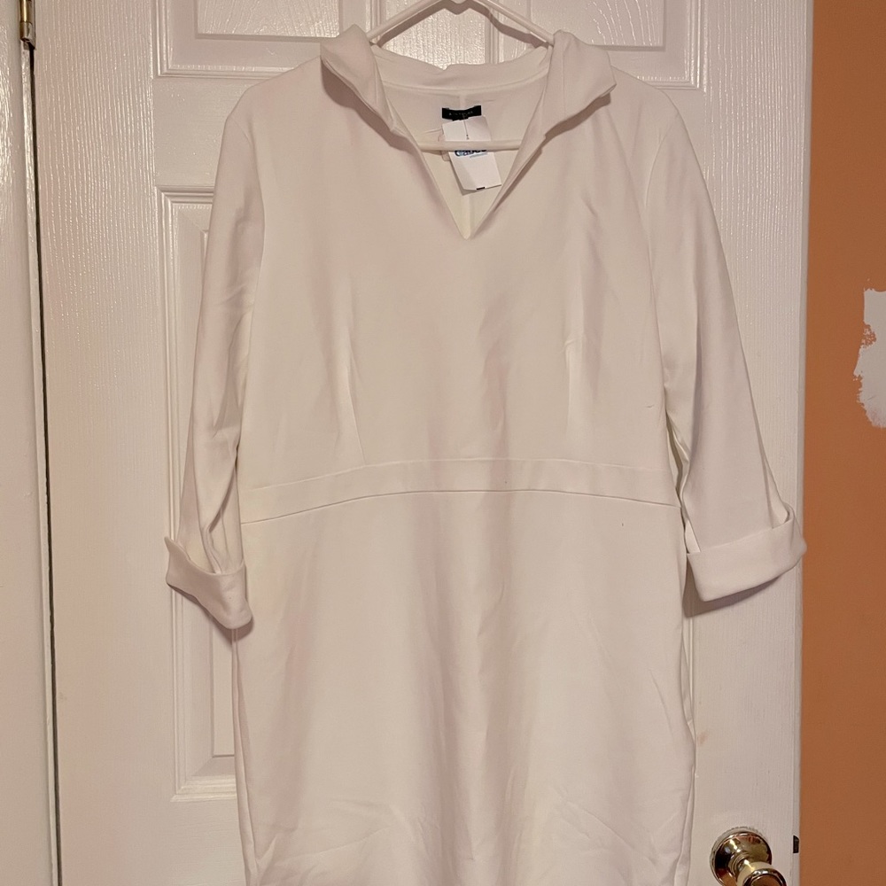 Anne Taylor Plus dress